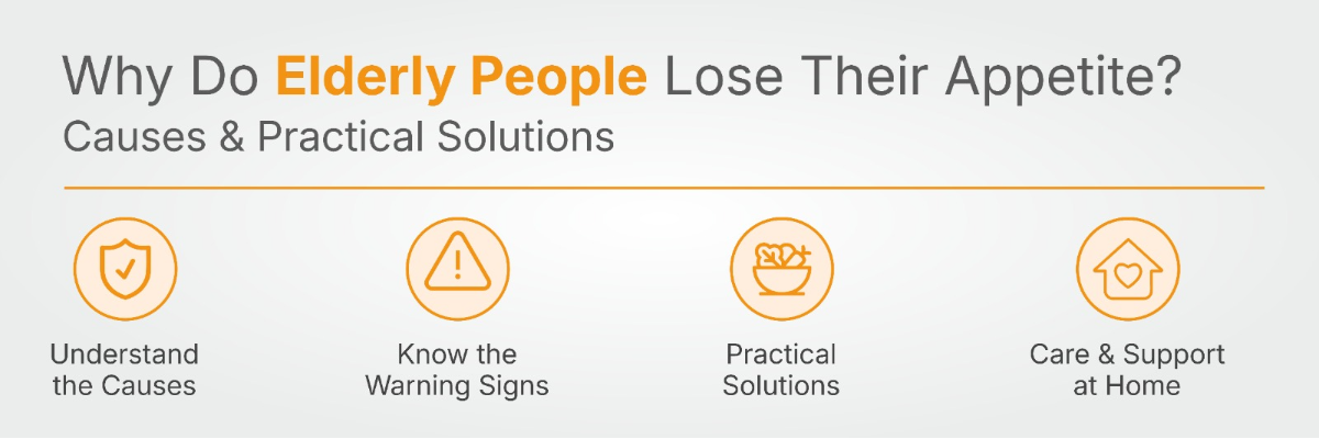 Why Do Elderly People Lose Their Appetite? Causes, Warning Signs & Practical Solutions